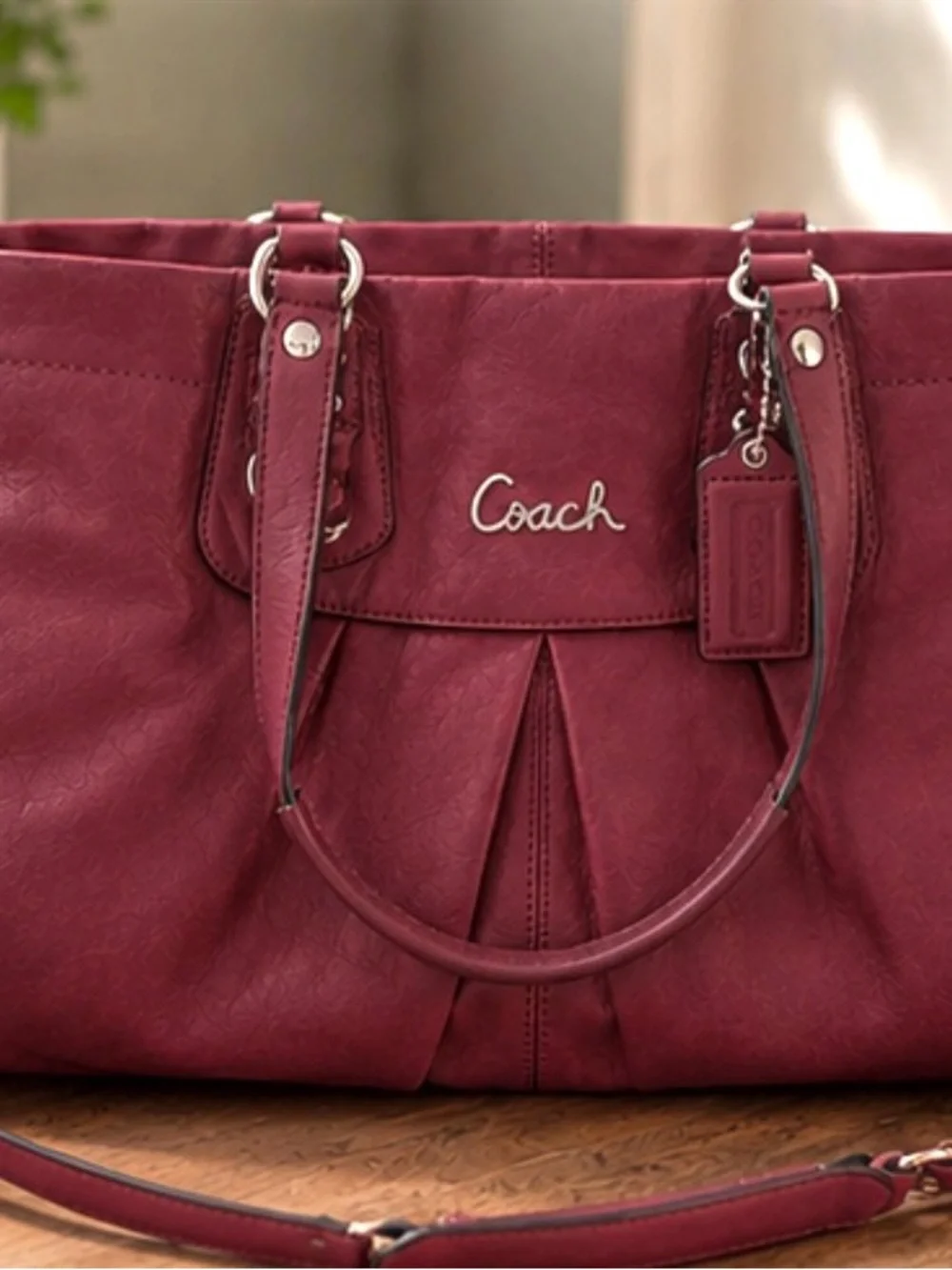 Coach Ashley Berry Leather Satchel F15513
